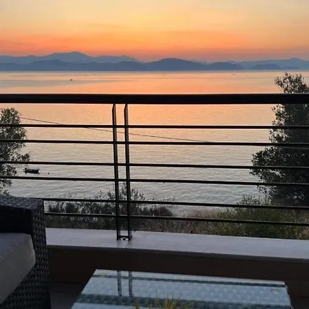 Spenny Sunrise * Xiropigado